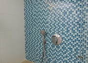 5 bedrooms reno villa - shower